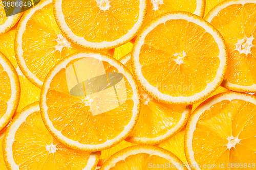 Image of Colorful orange fruit slices 