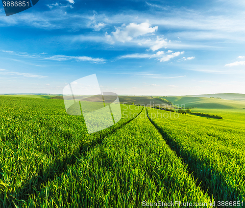 Image of Rolling summer landscape