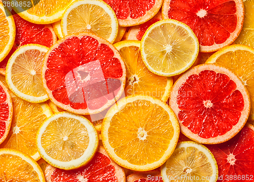 Image of Colorful citrus fruit slices 