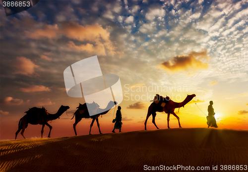 Image of Two cameleers camel drivers with camels in dunes of Thar deser