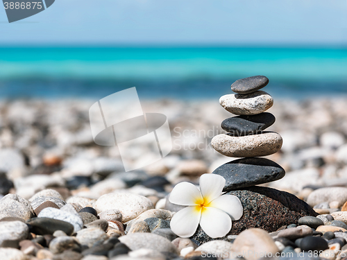 Image of Zen balanced stones stack with plumeria flower