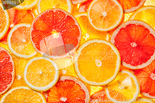 Image of Colorful citrus fruit slices 