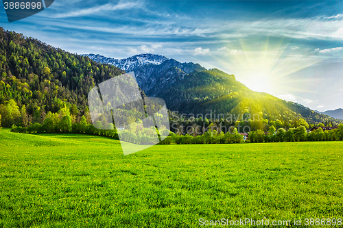 Image of Alpine meadow in Bavaria,  Germany