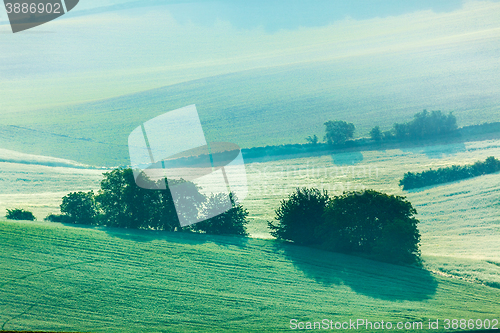 Image of Moravian rolling fields in morning mist