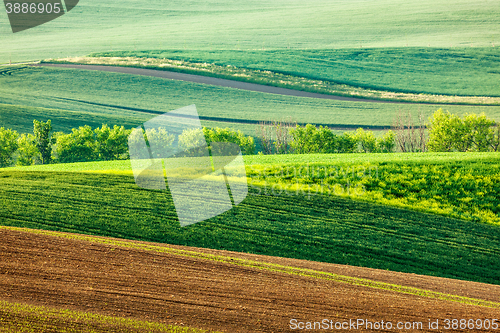 Image of Moravian rolling landscape