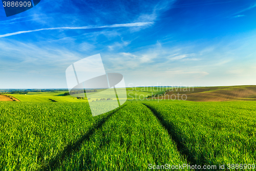 Image of Green fields of Moravia