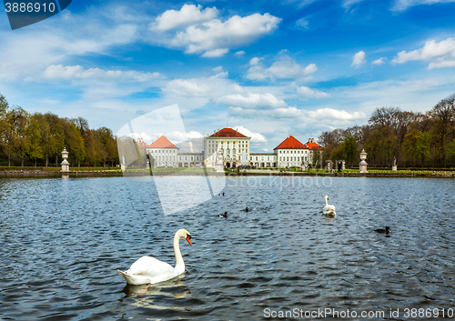 Image of Swan and Nymphenburg Palace. Munich, Bavaria, Germany