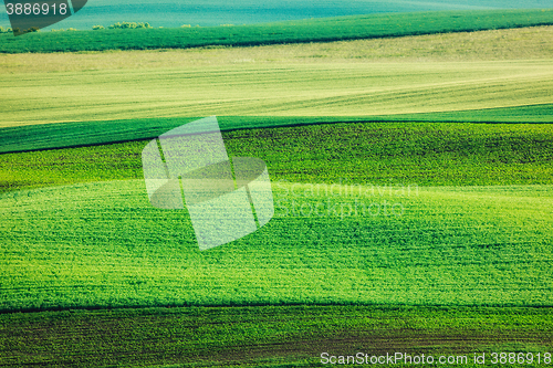 Image of Abstract pattern of rolling fields