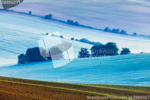 Image of Rolling landscape of  South Moravia in the morning