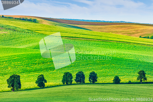 Image of Rolling landscape of South Moravia with trees.