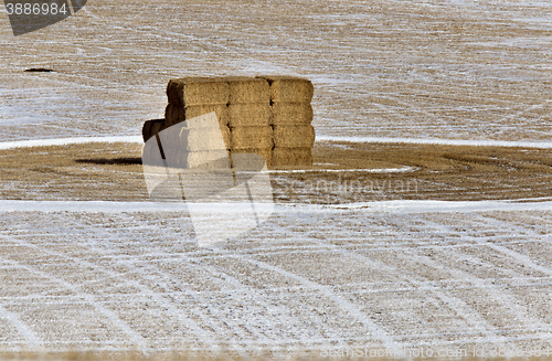 Image of Hay in Field Winter