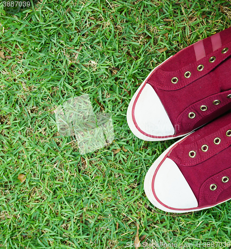 Image of Shoes on Grass