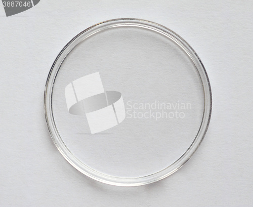 Image of Petri dish for cell culture