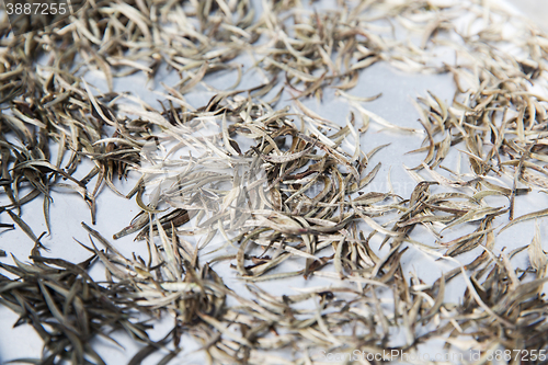 Image of close up of tea raw drying