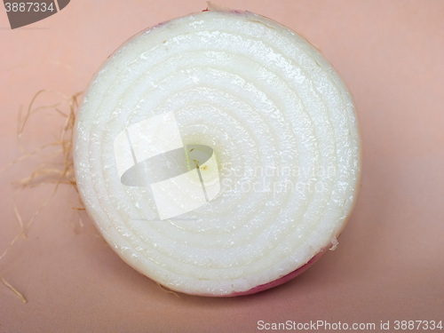 Image of Onion vegetable sliced