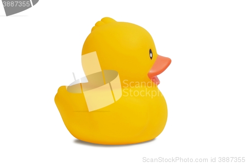 Image of Rubber Duck