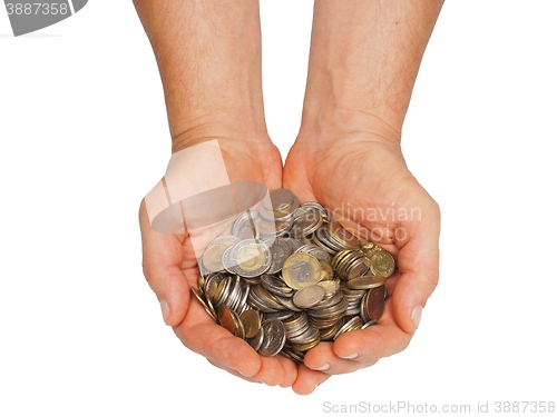 Image of Hands with Polish money