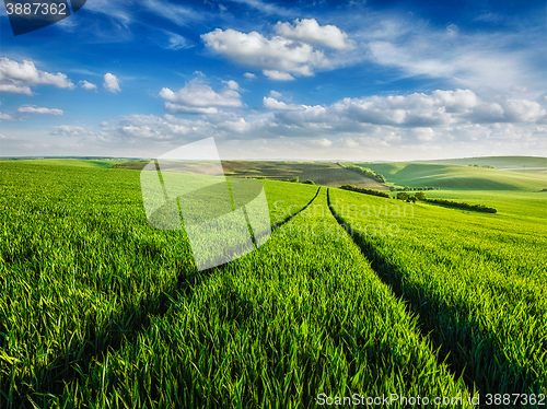 Image of Green fields of Moravia