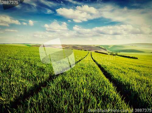 Image of Green fields of Moravia