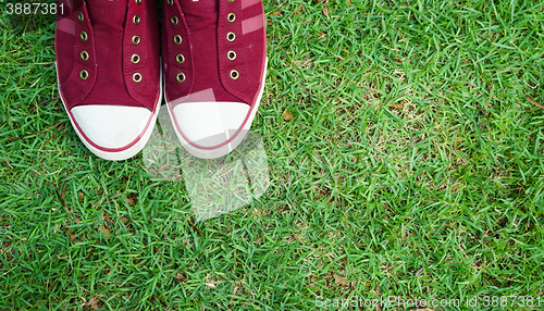Image of Shoes on Grass