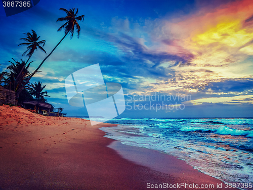 Image of Sunset on tropical beach