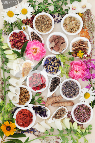 Image of Medicinal Healing Herbs and Flowers