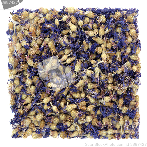 Image of Cornflower Herbal Medicine