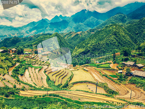 Image of Rice field terraces. Near Sapa, Mui Ne