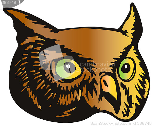 Image of Great Horned Owl