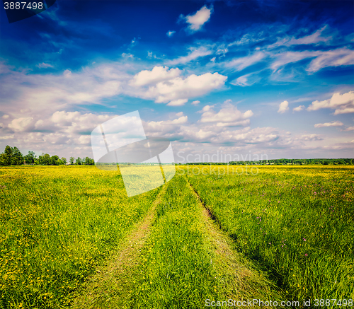 Image of Spring summer - rural road in green field scenery lanscape 