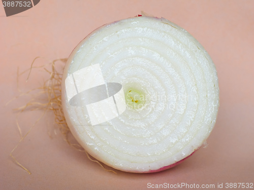 Image of Onion vegetable sliced