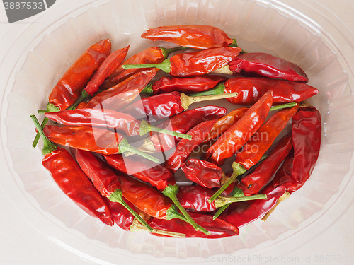 Image of Hot chili pepper vegetables