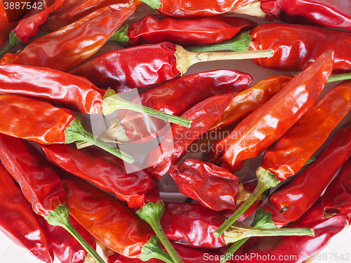Image of Hot chili pepper vegetables
