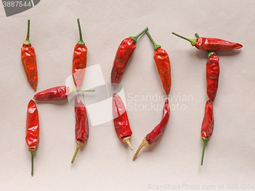 Image of Hot chili pepper vegetables