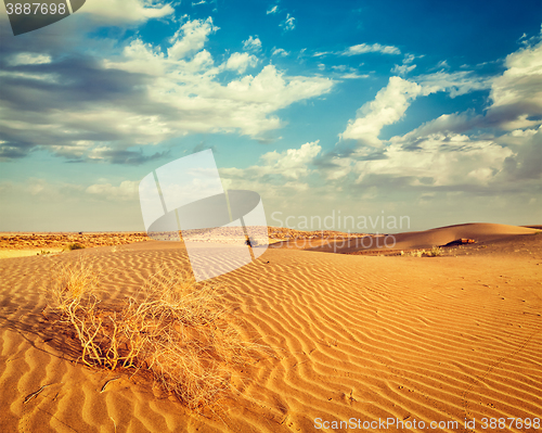 Image of Dunes of Thar Desert, Rajasthan, India