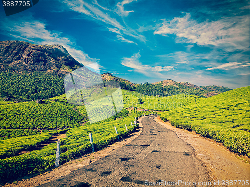 Image of Road in tea plantations, India