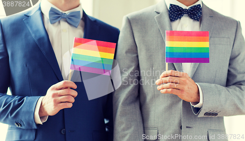 Image of close up of male gay couple holding rainbow flags