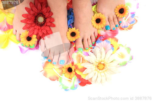 Image of nice legs with pedicure