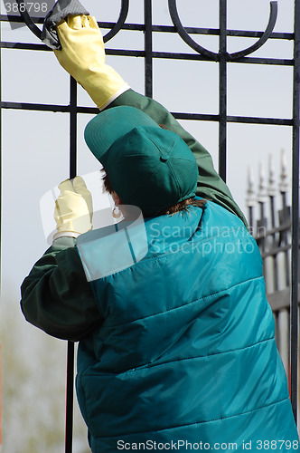 Image of Fence cleaning