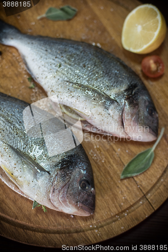 Image of Fresh uncooked dorado 