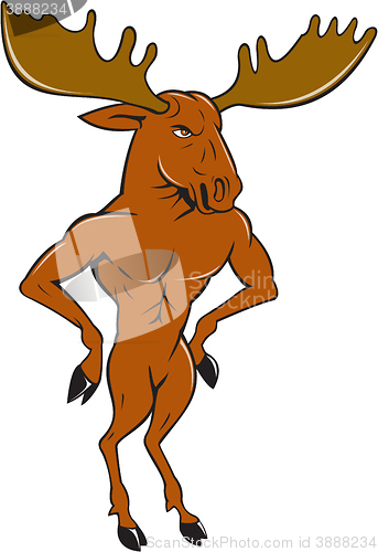 Image of Moose Standing Hands Akimbo Cartoon