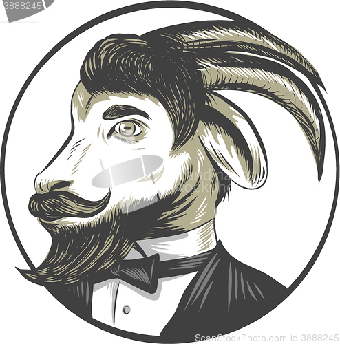 Image of Goat Beard Tie Tuxedo Circle Drawing