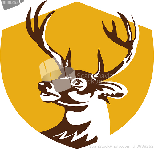 Image of Whitetail Deer Buck Head Crest Retro