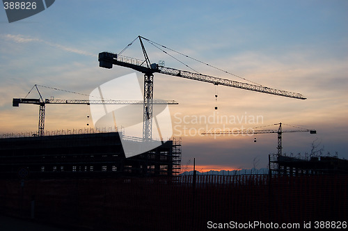 Image of cranes on sunset