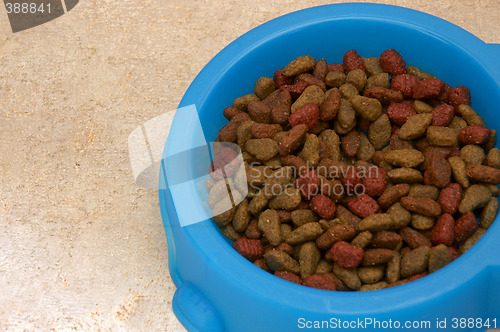 Image of Cat food