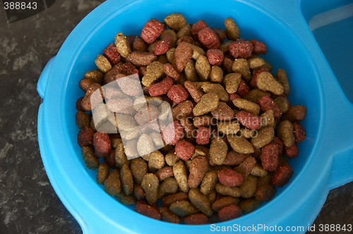 Image of Cat food