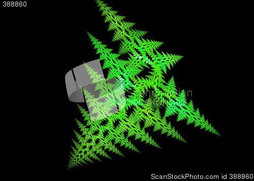 Image of Plant like fractal