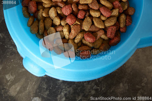 Image of Cat food