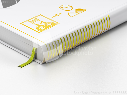 Image of Law concept: closed book, Criminal Freed on white background