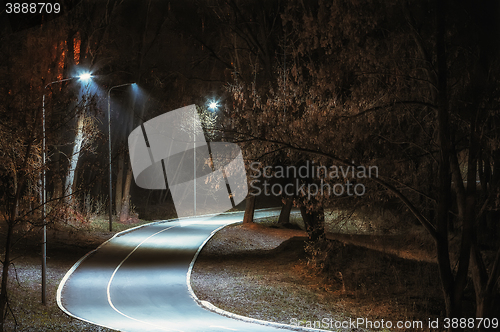 Image of Bicycle path in the night park